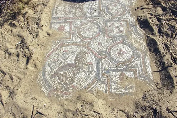 Images from the church mosaic floor.
