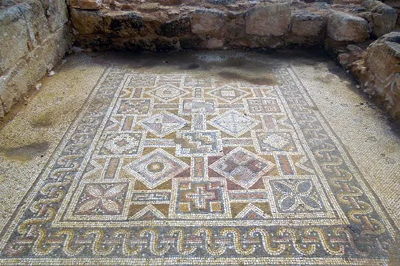 Images from the church mosaic floor.