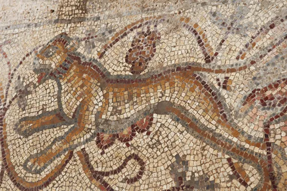 A tiger in the mosaic floor.